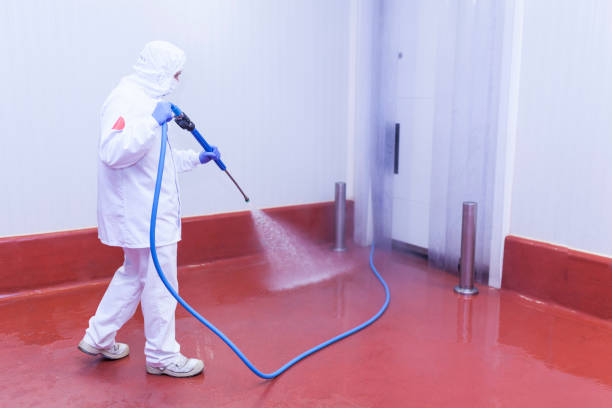 Best Sidewalk and Walkway Pressure Cleaning in Aspen, CO